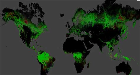 Maybe you would like to learn more about one of these? Son 12 yılın dünya orman haritası çıkarıldı! - Bilim ...