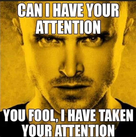 Can Have Your Attention You Fool Have Taken Your Attention Ifunny
