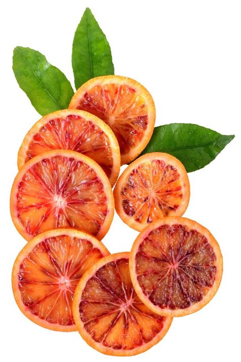 Blood Orange Slice With Leaf Top View Isolated Stock Photo Image Of