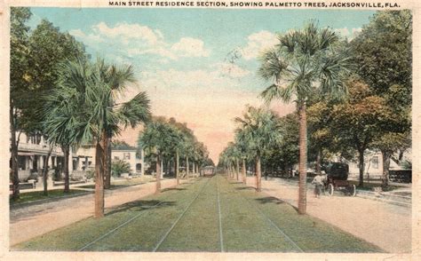 Vintage Postcard 1918 Main St Residence Section Palmetto Trees