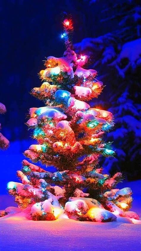 Colorful Christmas Trees Wallpapers Wallpaper Cave