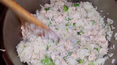 Dog upset stomach can be caused by different reasons such as food intolerance, gastritis, and more. Home Made Chicken, Rice & Broccoli Meal For Dog - Bland ...