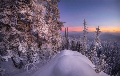 Wallpaper Forest Snow Mountains South Ural Images For Desktop