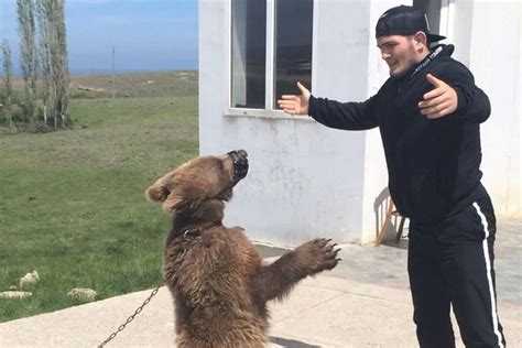 Heres A Video Of Khabib Nurmagomedov Wrestling A Bear With Giant Claws