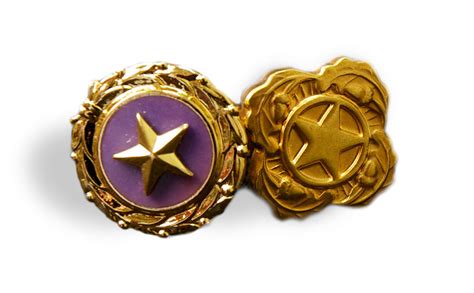 The Gold Star Lapel Buttons