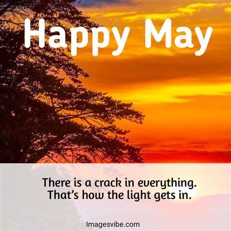Best 30 Happy May Quotes With Images And Messages In 2024 Images Vibe