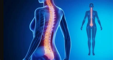 Influencia De La Lesión Traumática De La Médula Espinal Sobre La