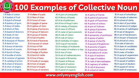 100 Examples Of Collective Nouns English Study Here Hot Sex Picture