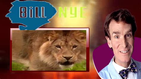 Bill Nye The Science Guy 0313 Mammals Youtube