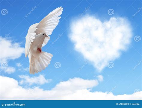 Blue Sky With Hearts Shape Clouds And Dove Stock Photo Image Of