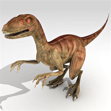 Velociraptor 3d Model Images