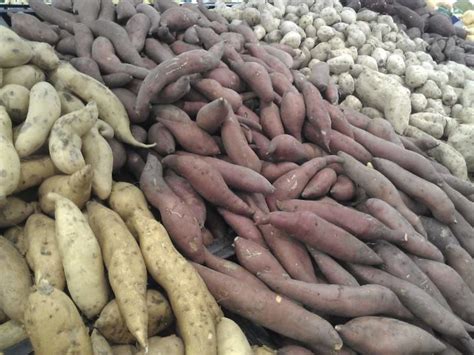 Root Crops Grown In The Philippines Hubpages