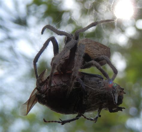 We did not find results for: News from Coquette Point