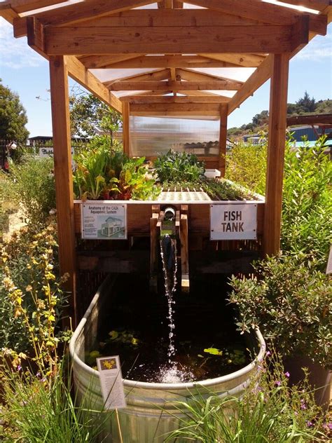 Check Out This Cool Aquaponics Set Up Doesnt Look Like