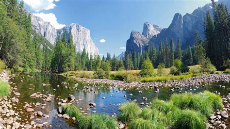 Merced River Summer Landscape Yosemite National Park California Usa