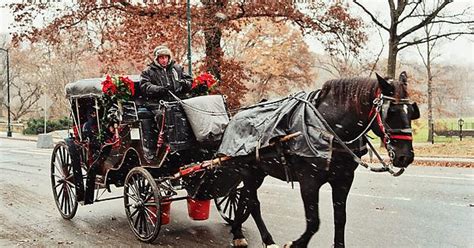 Central Park Imgur