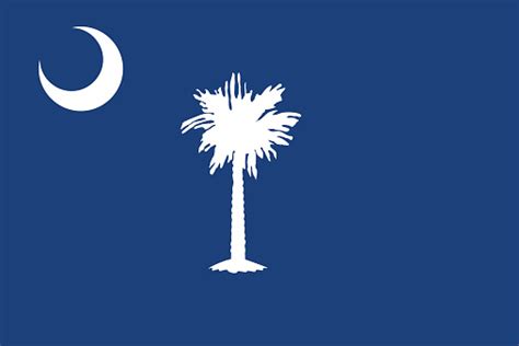 South Carolina State Flag Stock Illustration Download Image Now Istock