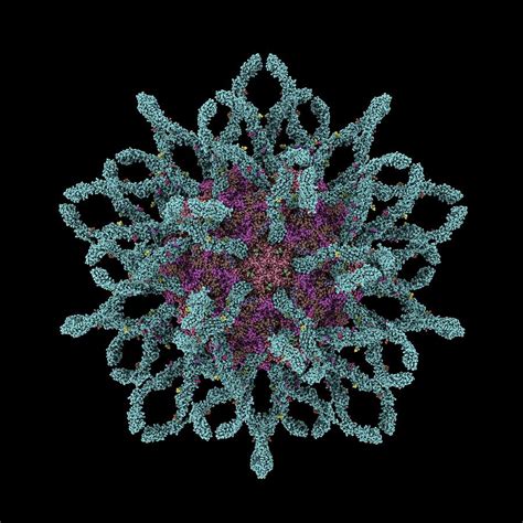 This portal's subpages have been checked by an editor, and are needed. Meningitis: die siekte waar die bakterie gevaarliker is as ...