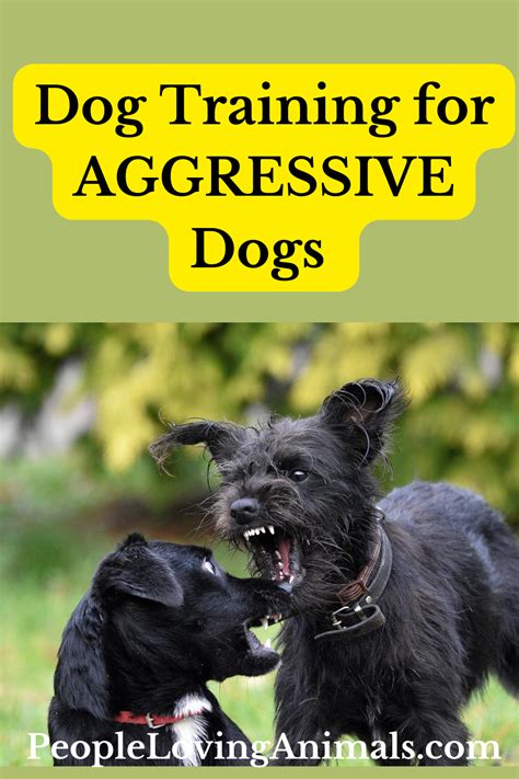 Dog Training Aggressive Dogs The Dog Calming Code