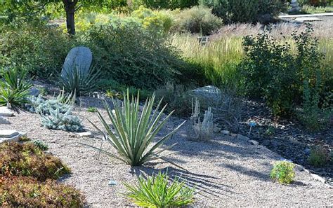Xeriscaping Stock Photos Pictures And Royalty Free Images Istock