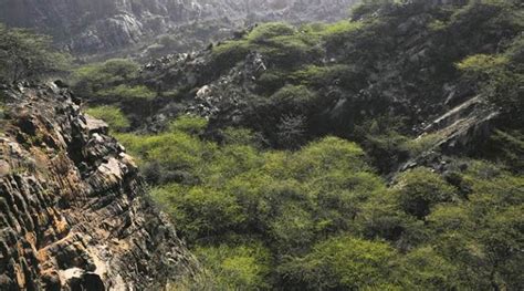 Haryana Govt Panel Suggests Redefining Aravallis Will Shrink Protected