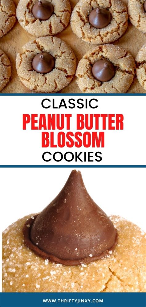 Peanut Butter Blossoms Cookie Recipe Hershey Kiss Classic Thrifty