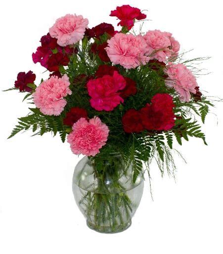 Flowers for occasions like anniversary should be picked from the premium florist like our arrangement of flowers is amazing that people love a lot. Sending Anniversary Flowers