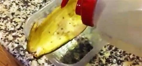 screw brita—filter your water using fruit peels and rubbing alcohol instead food hacks