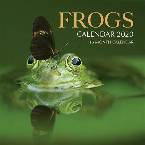 Frogs Calendar 2020 16 Month Calendar Paperback