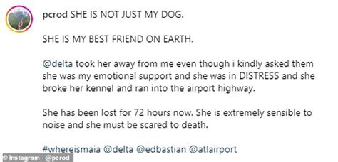 Traveler Slams Delta For Losing Her Dog At The Us Busiest Airport