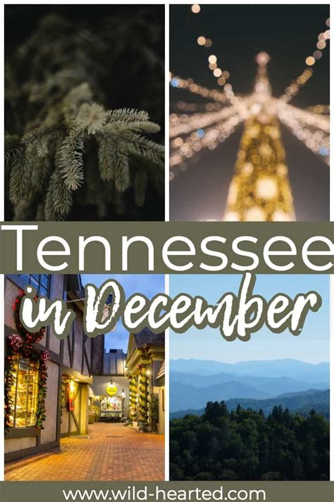 Are You Headed To Tennessee For The Holidays This Year There Are Tons