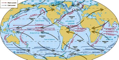 Navegar Oceano Pacifico Consejos Practicos Para Navegar Por El Océano