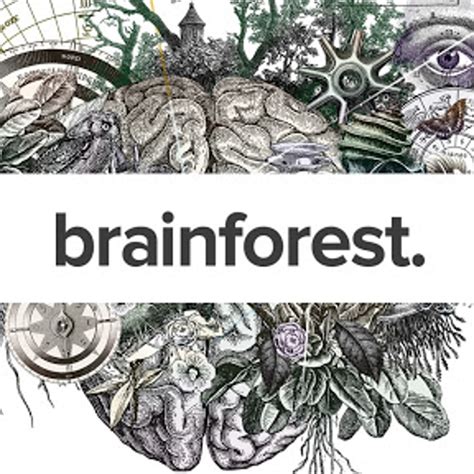 Brainforest