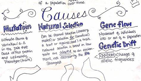 life science evolution notes pdf