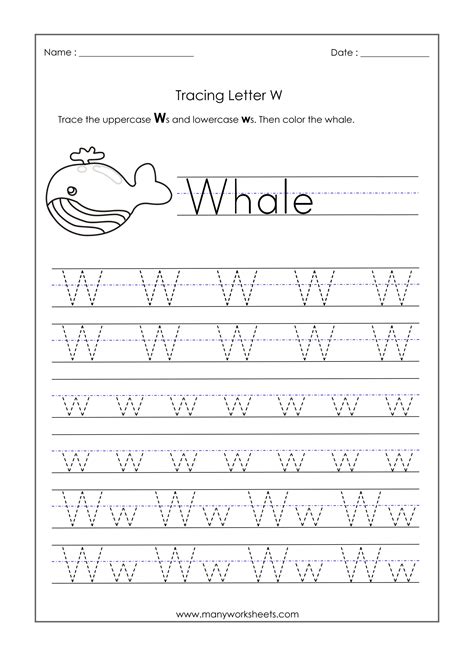 Letter W Tracing Preschool