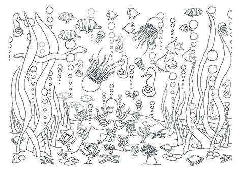 Underwater Scene Coloring Pages At Getdrawings Free Download