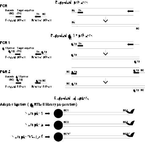 Long Read Sequencing A Powerful Tool In Viral Off