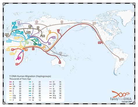 Human Dna Migration Human Migration Map History