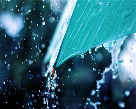 Rainy Day Drops Lovely Water Hd Wallpaper Peakpx