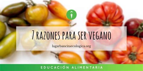 Siete Razones Para Ser Vegano La Garbancita Ecol Gica