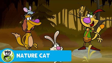 Nature Cat Down At The Swamp Pbs Kids Wpbs Serving Northern New