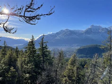 Best Lake Trails In Brohm Lake Interpretive Forest Trails Alltrails