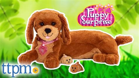 Puppy Surprise Magic Mommy From Just Play Youtube