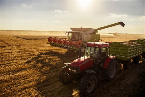 Kansas Wheat Harvest Ahead Of Average Pace 2018 06 19 Food Business