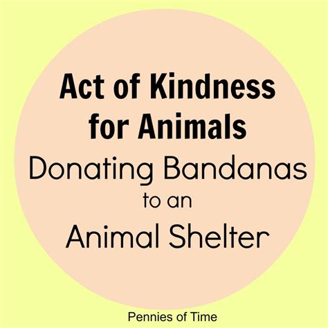 Act Of Kindness Donating Bandanas At The Animal Shelter Pennies Of