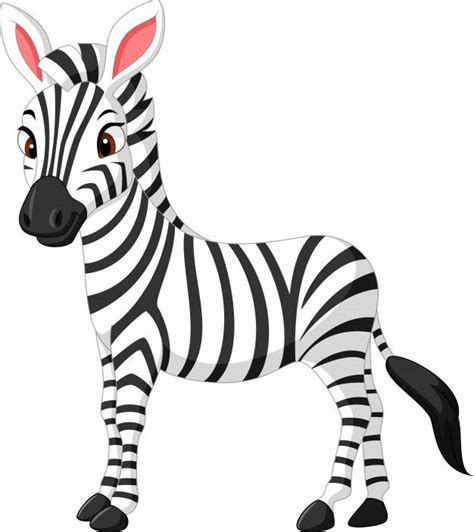 Cute Zebra Cartoon en 2020 Ilustración de cebra Dibujo de cebra Cebra