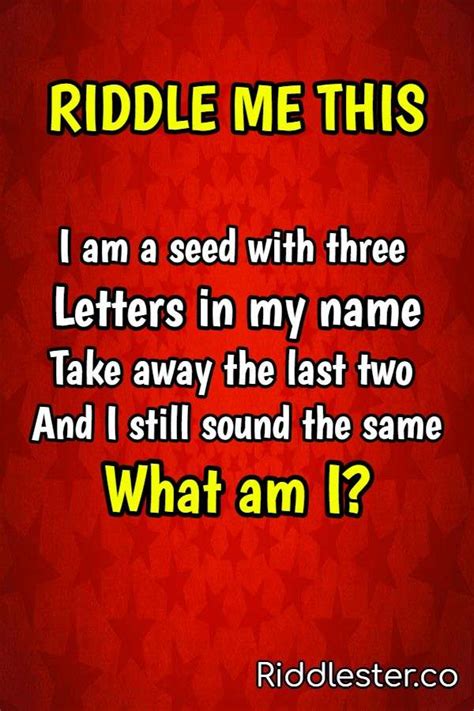 Logic Riddles With Answers To Test Your Puzzle Solving Skills