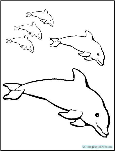 Orca grabs a harbor porpoise (i.redd.it). Porpoise Coloring Pages at GetColorings.com | Free ...