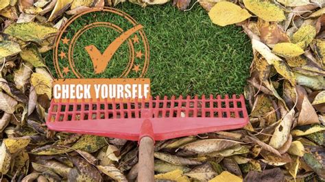Check Yourself 7 Home Maintenance Tasks You Should Tackle In October