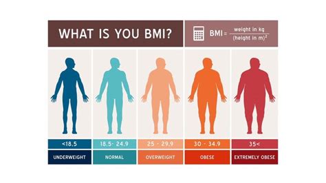 Chỉ số bmi cao có thể cho thấy mức độ béo phì hay thừa cân nhiều. Cách tính và ý nghĩa của chỉ số BMI trong đánh giá tình ...